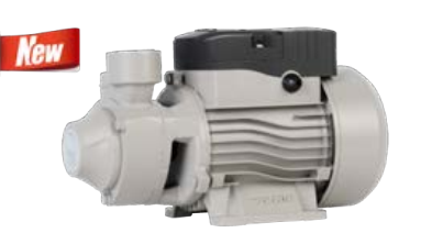 Vortex Pump